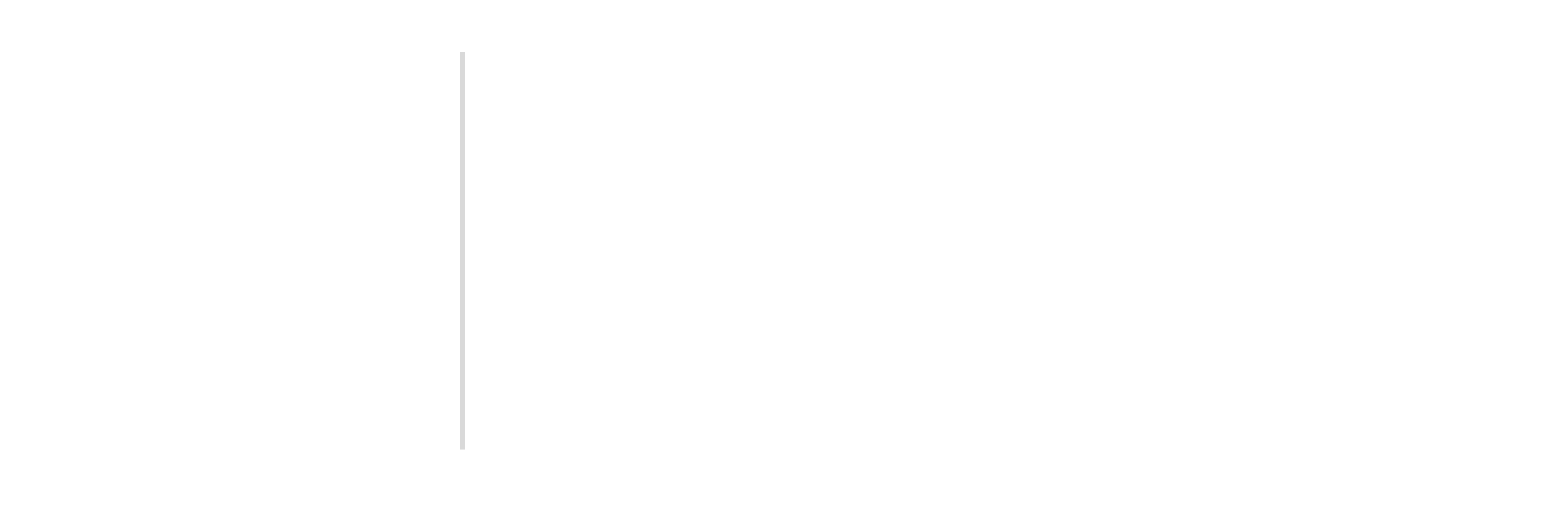 EMAUSOFT Logo